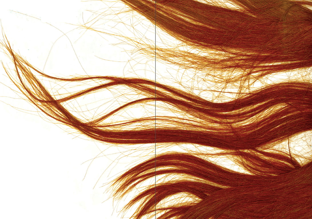 photographic spread of red hair against a white background