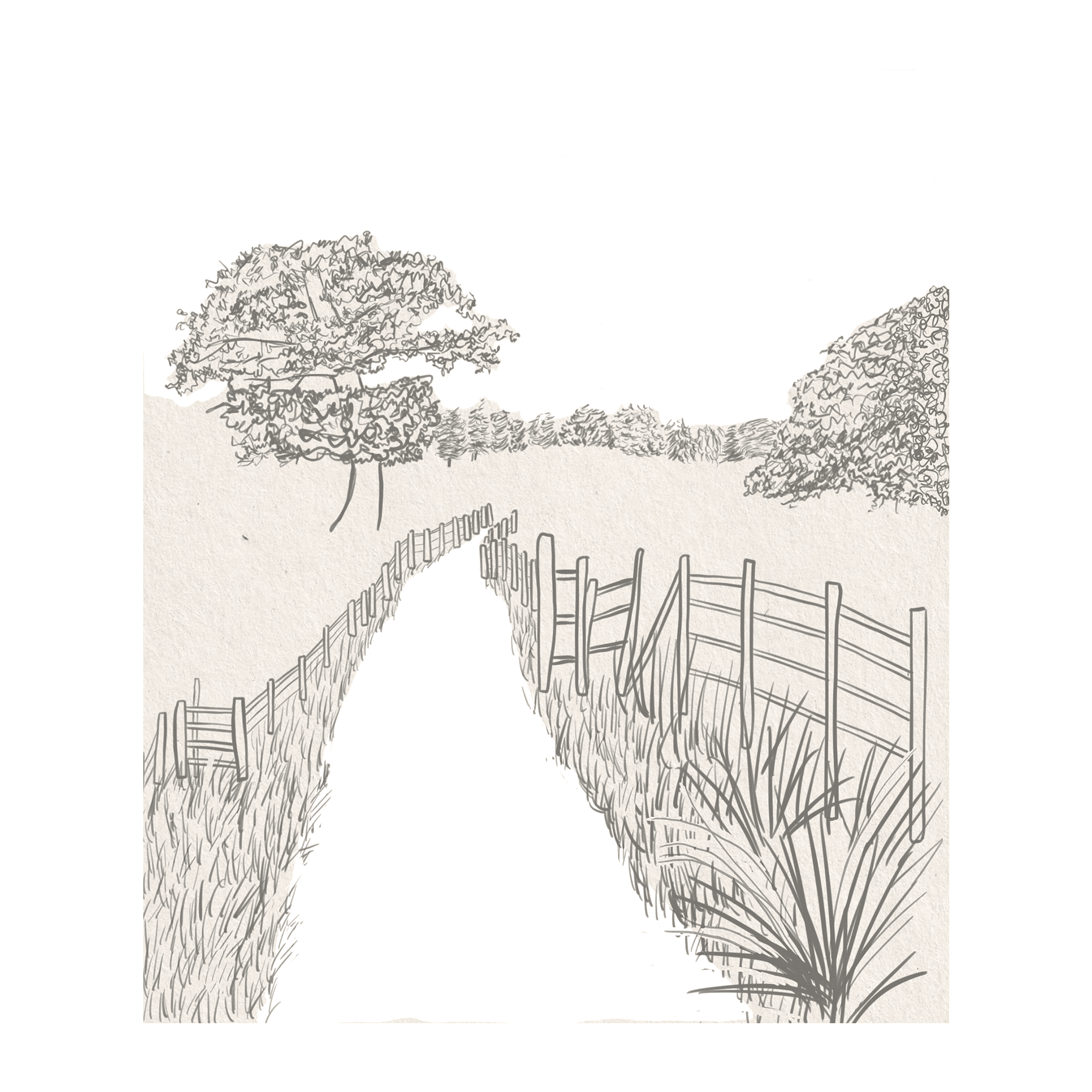 animated illustration of a country path