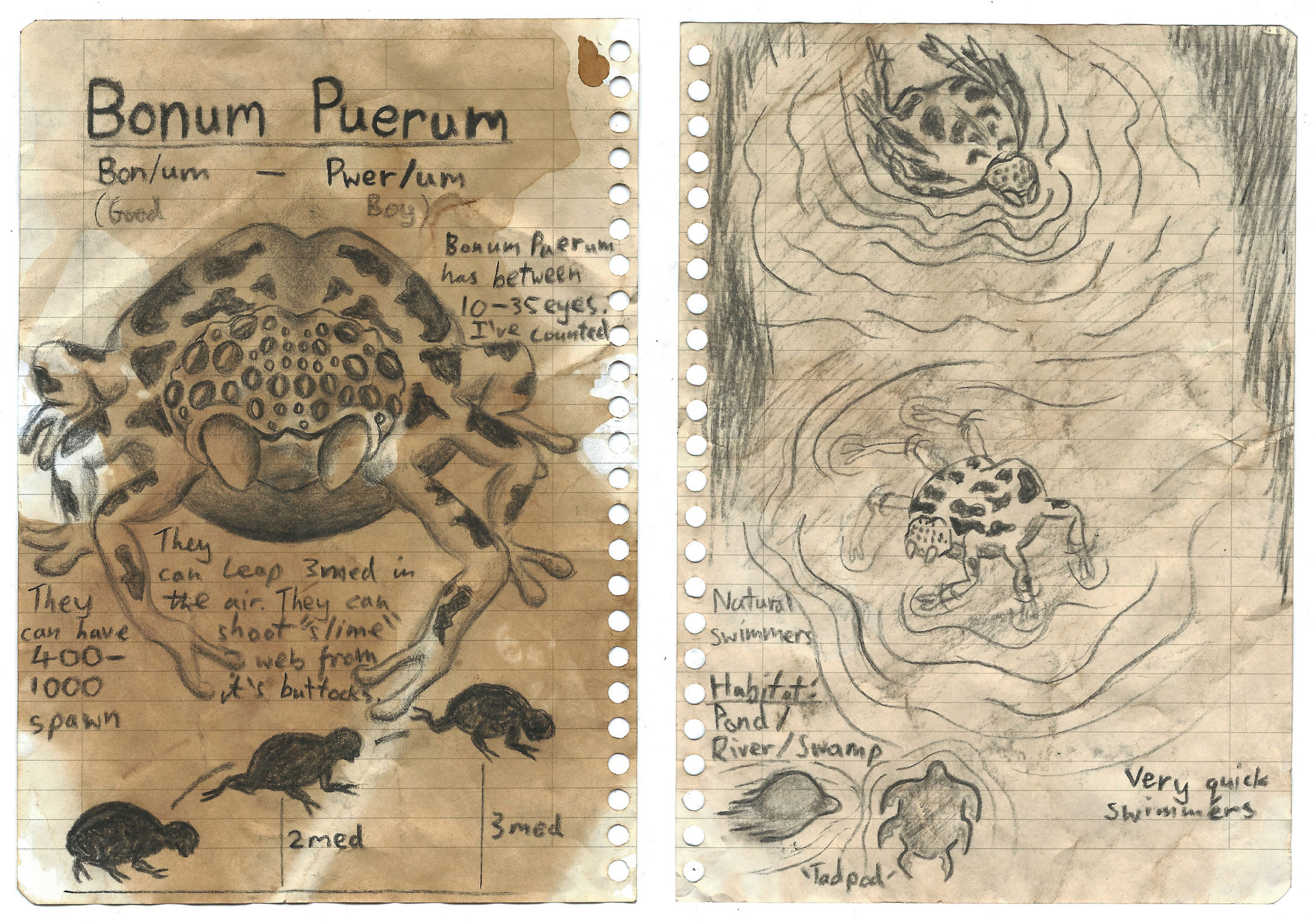 Sketchbook pages of charcoal drawings of beasts, Bonum Peurum Saltator