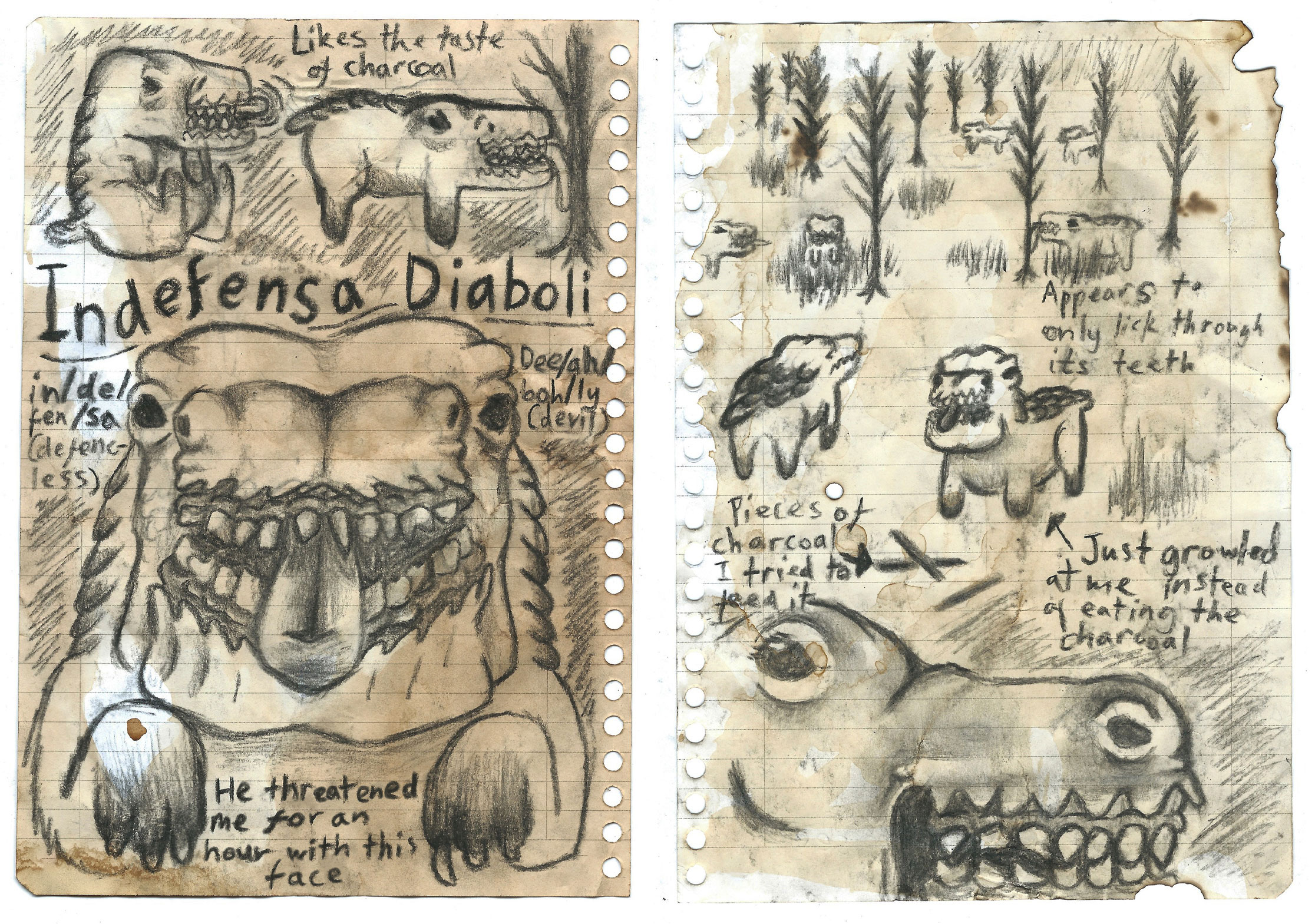 Sketchbook pages of charcoal drawings of beasts, Indefensa Diaboli