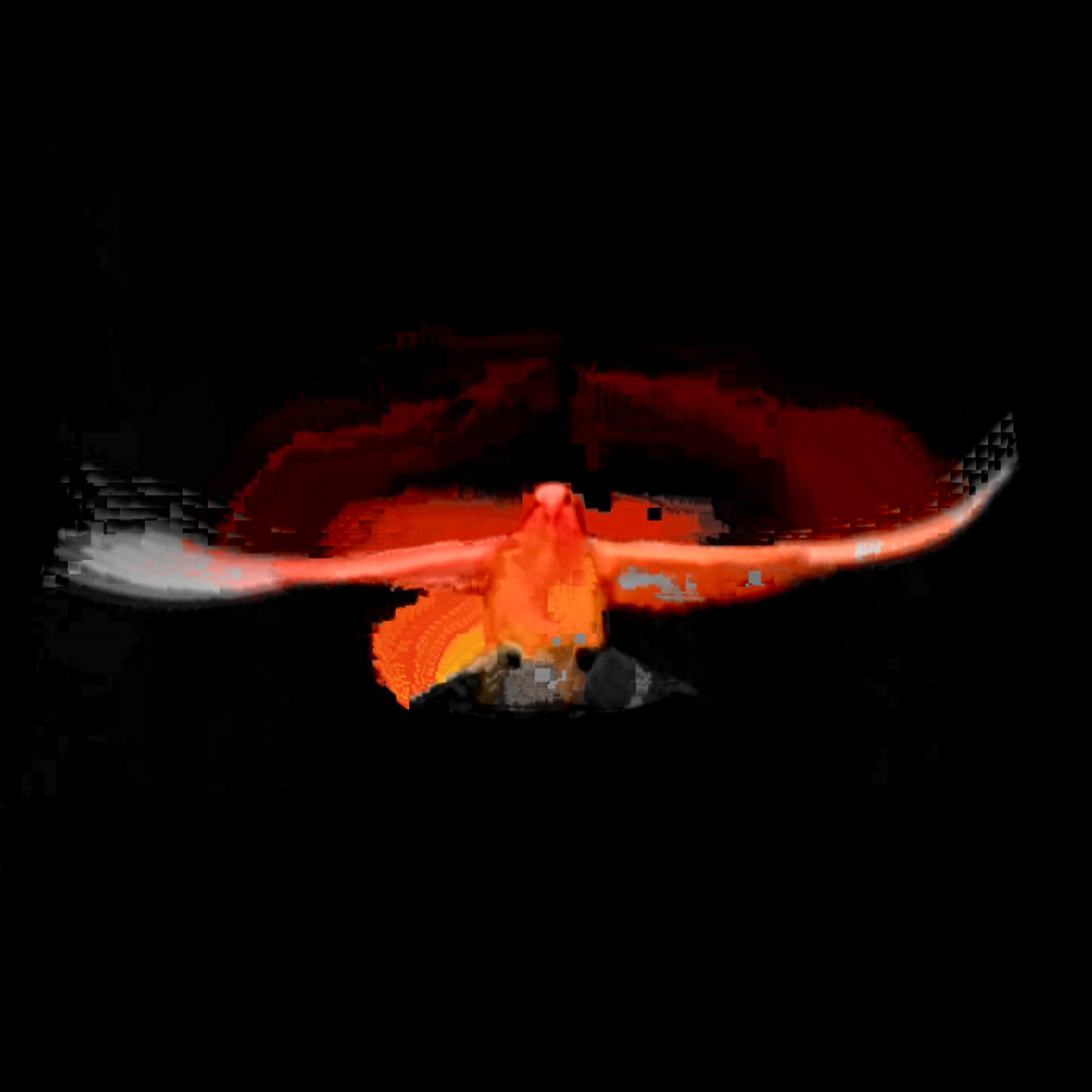 Detail from the digital film showing a pixelated image of a bird in flight